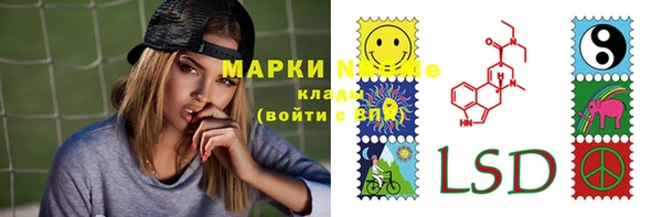 стаф Карталы