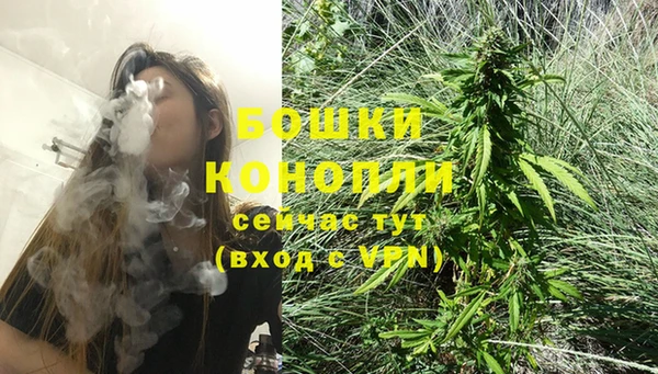 гидра Касимов