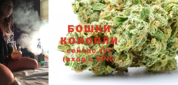 стаф Карталы
