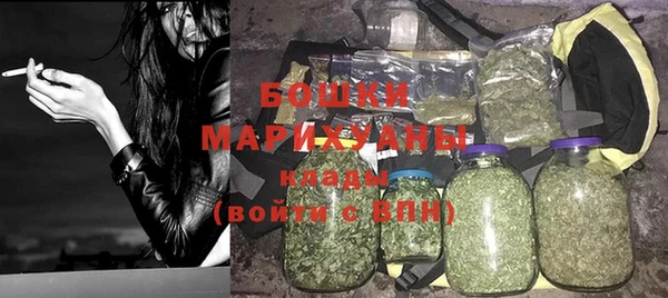 гидра Касимов
