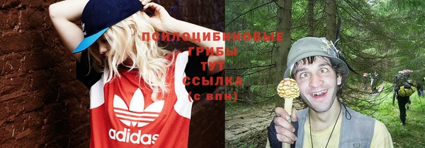 стаф Карталы