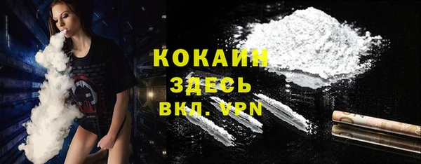 стаф Карталы