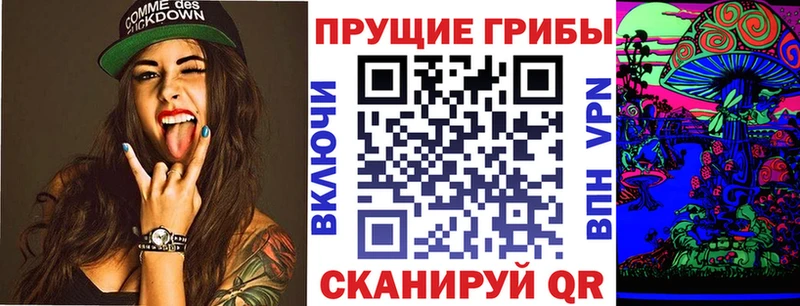 Купить закладки  Железногорск-Илимский  Галлюциногенные грибы Psilocybine cubensis 